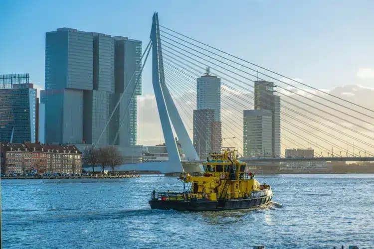 Foto Rotterdam